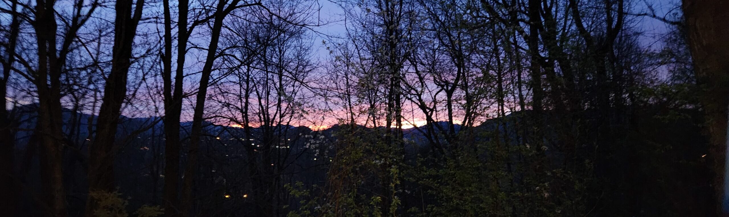 Spring in the Smokies: Starting a Farm With Trauma