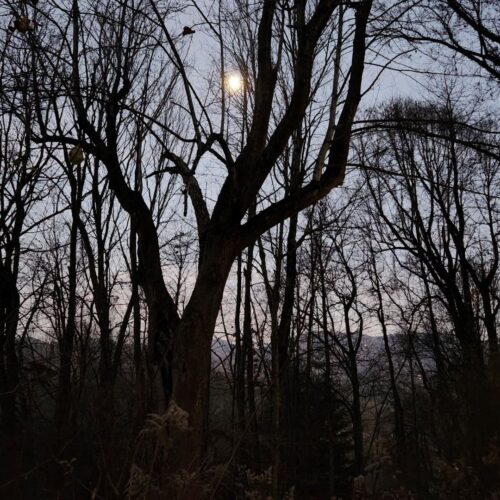 Appalachian Folk Magic, Hoodoo & Appropriation