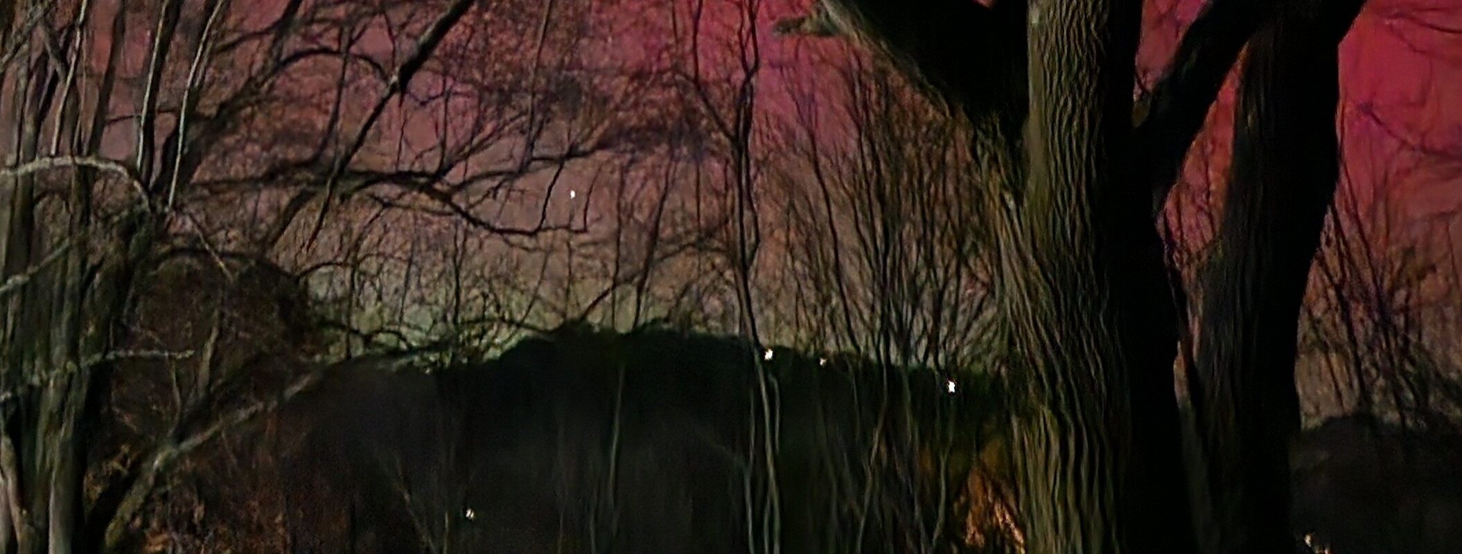 I Finally Stopped Resisting Óðin